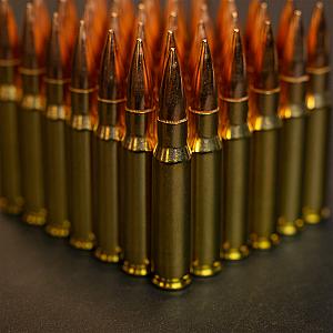 .308 Win/7.62x51