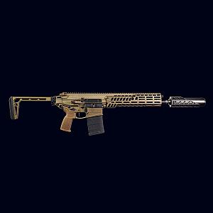 Sig Spear Suppressed
